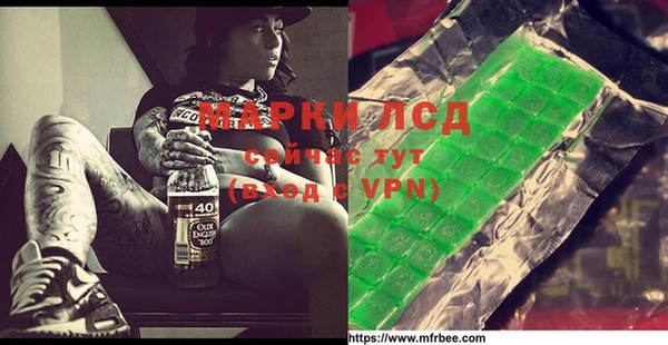 индика Балабаново