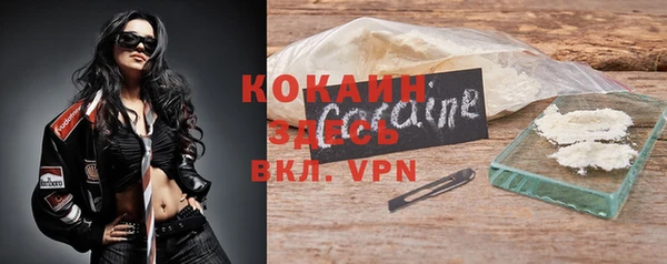индика Балабаново