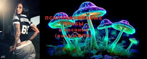 индика Балабаново